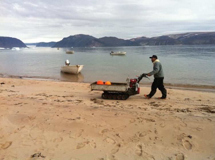 Tilflytter. Japaneren Ikuo Oshima kom til bygden for 39 år siden. Nu er han grønlandsk fanger, passer sine hunde og joller – på vej hen ad stranden med sit bæltekøretøj. 