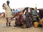 Hungersnød. 119.000 flygtninge fra Afrikas Horn er stuvet sammen i den etiopiske flygtningelejr, Dollo Ado. 