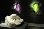 Transformation. Kunstneren Erik Steffensen transformerer det sete, det fotograferede og fastholdte, og gør det til sit helt eget. 