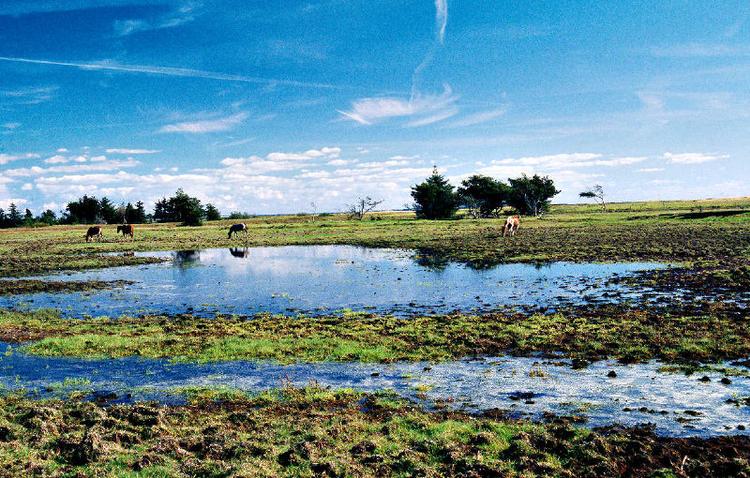 englandskab. Kirsten Klein er en kunstner, der som landskabsmalerne forvandler naturens rigdom til åbne mentale landskaber. Her landskabet ved digteren Johan Skjoldborgs fødehjem.