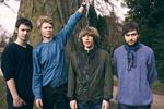 Debutanterne i Treefight For Sunlight hælder til de festligt kolorerede arrangementer, som man kender dem fra 60'ernes solskinspop. 