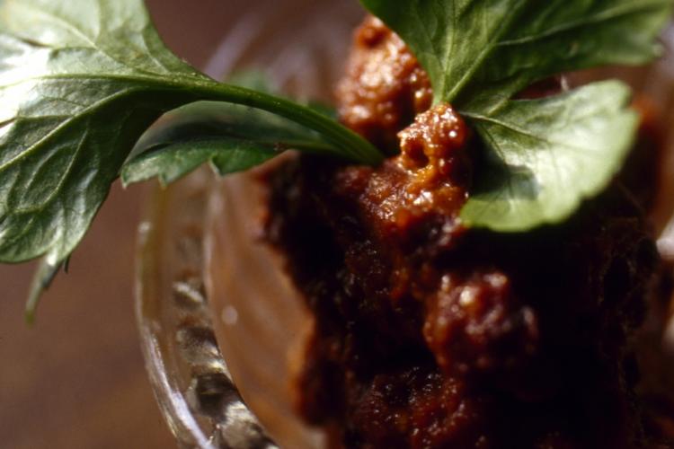 Marinade med harissa