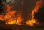 Den tørre natur gør det yderst vanskeligt at bekæmpe flammerne. 