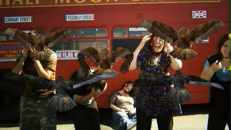 Epidemi. I USA er publikum begejstret over den hysterisk dårlige kultfilm 'Birdemic'. Nu kan filmen, som er en hyldest til Hitchcocks 'Fuglene', ses på festival i Danmark. 