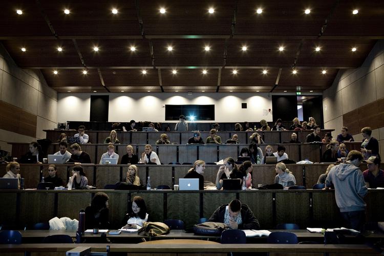 Sprogkamp. Dagens to analyseskribenter har undersøgt sprogbrugen på to af de samfundsområder, hvor udbredelsen af engelsk skulle være mest udtalt, nemlig multinationale virksomheder og universiteterne. 