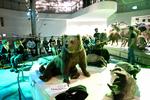 Statens Naturhistoriske Museum skal lægges sammen med Zoologisk Museum i et kæmpe byggeprojekt ved Botanisk Have. 