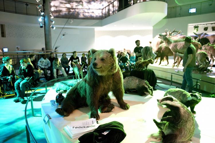 Statens Naturhistoriske Museum skal lægges sammen med Zoologisk Museum i et kæmpe byggeprojekt ved Botanisk Have. 