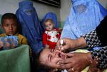 Vaccination. Et barn vaccineres mod polio i Jalalabad i Afghanistan under en kampagne i marts i år. I alt blev 7,8 millioner børn under fem år vaccineret på tre dage. 