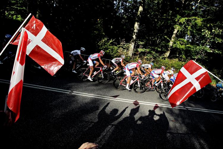 Feltet på vej gennem skoven. Foto: Martin Lehmann 