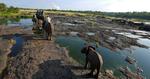 RIDETUR. De tamme elefanter lever frit i bushen i Victoria Falls' nationalpark. 