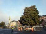 Fremtid. Kastanjetræet på Enghave Plads skal fældes for at gøre plads til en kommende metrostation. 