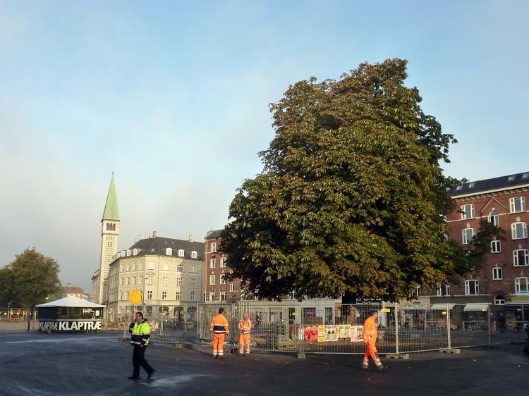 Fremtid. Kastanjetræet på Enghave Plads skal fældes for at gøre plads til en kommende metrostation. 