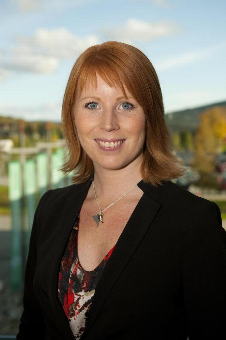Karriereboost. Annie Lööf er Sveriges nye erhvervsminister. Hun er 28 år og opvokset på en bondegård i Småland. 
