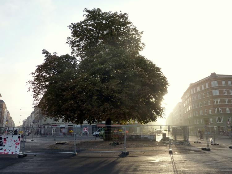 Trækamp. Demonstrerende trævenner forhindrede i går aftes Metroselskabet i at fælde et stort kastanjetræ på Enghave Plads. Træet står, hvor der efter planen skal være adgang til den underjordiske trafikåre. 
