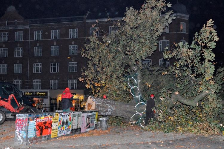 Slut. Det 114 år gamle kastanjetræ på Enghave Plads blev fældet her til morgen. 
