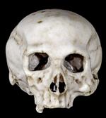 link? Dette alabastkranium, som i en årrække har været i et tysk lægepars besiddelse, er identisk med en berømt tegning, som Leonardo da Vinci skabte i 1489. Arkivfoto: Dr. Kurt W. Becker 