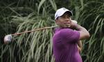 nerver. Tiger Woods på 16. hul på førstedagen ved Bridgestone Invitational i Ohio. 