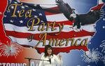 KONSERVATISME. Sarah Palin er en magnet for USA's politiske højrefløj, hvor hun har erobret sig et stærkt navn inden for bl.a. Tea Party-bevægelsen. 