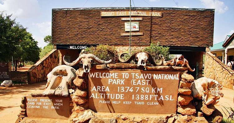 SAFARI. Med 21.000 kvadratkilometer er Tsavo Nationalpark både det største fredede område i Kenya og en af de største nationalparker i verden. 