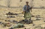 2001: Krigen i Afghanistan er gået igang. På billedet ses en soldat fra Den Nordlige Alliance blandt dræbte Taleban-soldater. 