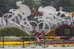 Styrtet. Yannick Eijssen fotograferet under Tour of Beijings onsdagsetape. Fredag styrtede han og pådrog sig voldsomme skrammer i ansigtet, da en helikopter angiveligt fik nogle reklameskilte til at rive sig løs langs ruten. 