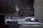 Dødsfald. Det var i en lagerbygning, der i går skete en eksplosion. Teknikere er nu igang med undersøgelsen af stedet. 