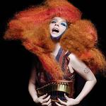 Tordenskrald. På sit nye album har Björk bygget sine sange op med inspiration fra naturen. Rytmer er afstemt efter afstanden mellem lyn og torden eller bygget op som tidevandets forhold til Månen. 