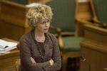Finanslovsforhandling i folketinget 9/12-2004