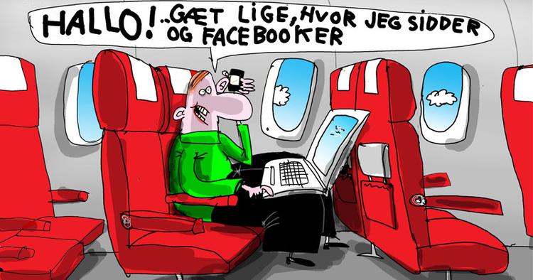 SURFING. Indtil nu har flyselskaberne underholdt passagererne med aviser,  magasiner, musik og tv-serier. Men nu bliver det også muligt at være online. 