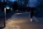 FARTHOLDERLYS. På lamperne her er der et lyspanel, som blinker i en særlig takt og i en særlig farve. Løberen kan så på forhånd beslutte, hvilket tempo han/hun ønsker at følge. 