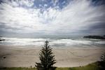 FORURENING. En desperat newzealænder har skrevet 'Rens mig' i sandet på Maunganui-stranden, der trues af udslippene fra det strandede containerskib 'Rena'. 