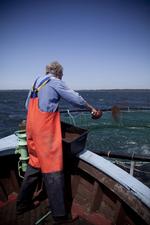 Fisk. Det er i denne uge 25 år, siden iltsvind i de indre danske farvande satte gang i en hidsig debat om vandmiljøet. 