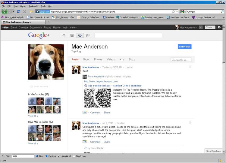Google+. Den sociale tjeneste fra søgegiganten har nået 40 millioner brugere. 