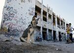 Fortid. Gaddafis frygtede fæstning Bab al-Aziziya er en saga blot. Nu er der dyremarked foran byggeriet. 