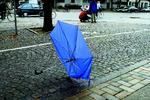 Efterår. Regn og blæst er på vej mod Danmark, varsler meteorologerne. 
