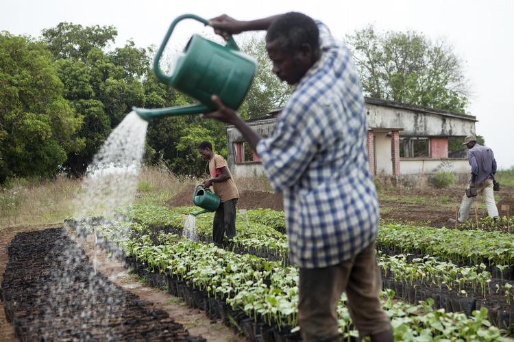 Bæredygtigt. Hverken USA, EU, Kina eller andre vil leve op til anbefalingerne om en reduktion af drivhusgasserne på 25-40 procent inden 2020. Men andre steder i verden, eksempelvis her i Afrika, kan man spore flere fremskridt. 