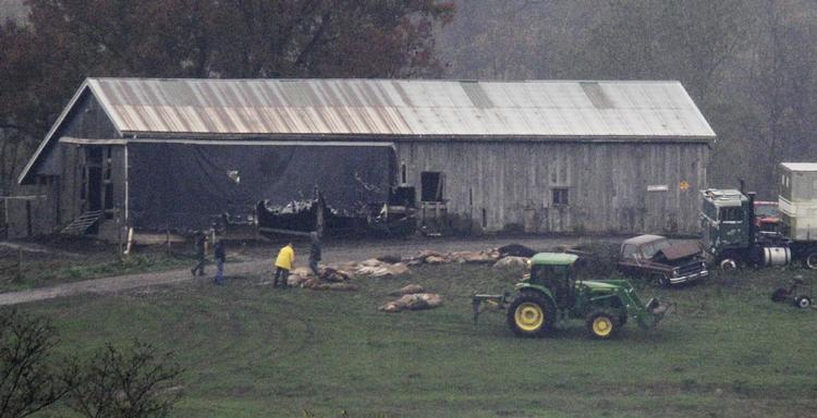 Seks dyr er stadig i live, efter at over 50 dyr i tirsdags blev sluppet ud af deres bure og ud i gaderne i byen Zanesville, Ohio. 