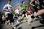 lol_maraton_22-10-2011_62CPMUN.jpg
