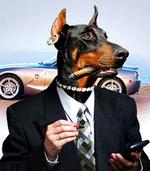 atshund1_25-10-2011_LNCQ6Q7.jpg