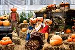 Uhygge. BR sælge halloween-kostumer som aldrig før, mens forældre giver udtryk for, at begivenheden handler mere om gruppepres end om hygge. 