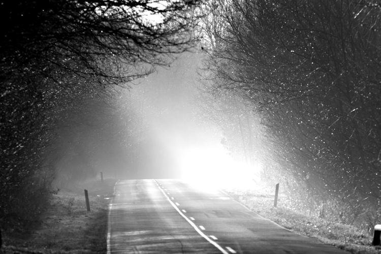 Dis. Pas på tågen i nat, lyder advarslen fra TV 2 Vejrcenter. 