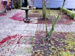 lolUkemper_ved_do._22-10-2011_F6CN2KE.jpg