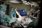Ændringer. Det vil have konsekvenser for sundhedsområdet, at S-SF opgiver princippet om finansiering. 