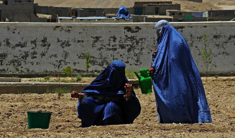 Formummede. Den gennemsnitlige levealder for kvinder i Afghanistan er blot 43 år. I Norge, hvor det ifølge Red Barnet er bedst at være mor, er gennemsnitsalderen 83 år. 