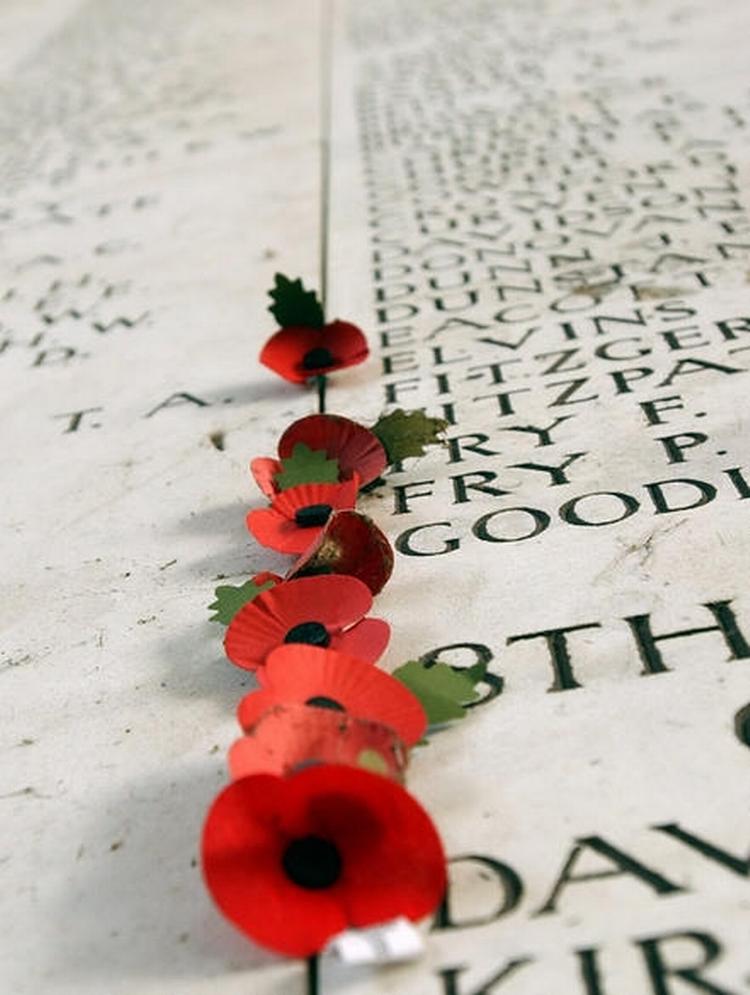 Poppy. Valmublomster placeret ved en mindetavle i Belgien for faldne soldater fra Første Verdenskrig. 