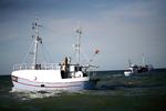 Omlægning. EU's fiskerikommissær foreslår, at millardstøtten skal booste det kystnære fiskeri. 