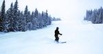 SOLO. Drømmer du om 15 centimeter jomfruelig pulversne helt alene, så skal du prøve fænomenet 'Tidligski'. 