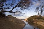 Solrigt. Veekenden bliver klar og kold med god mulighed for at gå en tur som eksempelvis her ved Hornbæk Strand i Nordsjælland. 