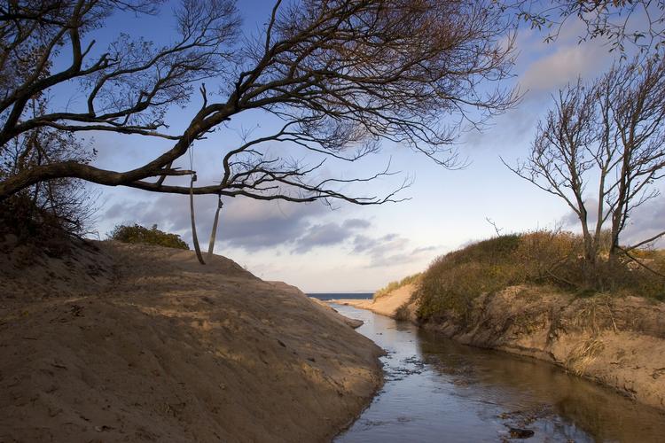 Solrigt. Veekenden bliver klar og kold med god mulighed for at gå en tur som eksempelvis her ved Hornbæk Strand i Nordsjælland. 