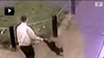 AFSLØRET. Videooptagelserne fælder 20-årig mand efter grov mishandling af tamkat. 